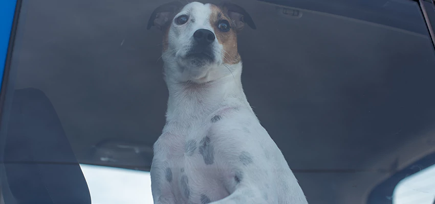 Car Lockout Solutions in Yreka, California